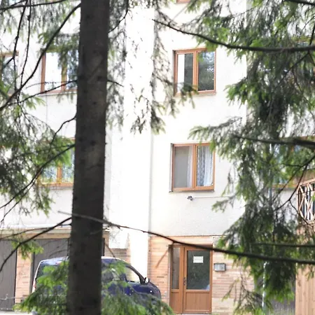 čučoriedka * Demanovská Dolina