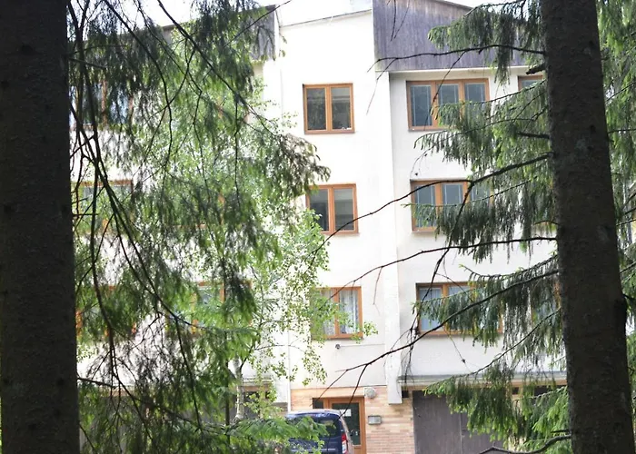 Apartmán čučoriedka *