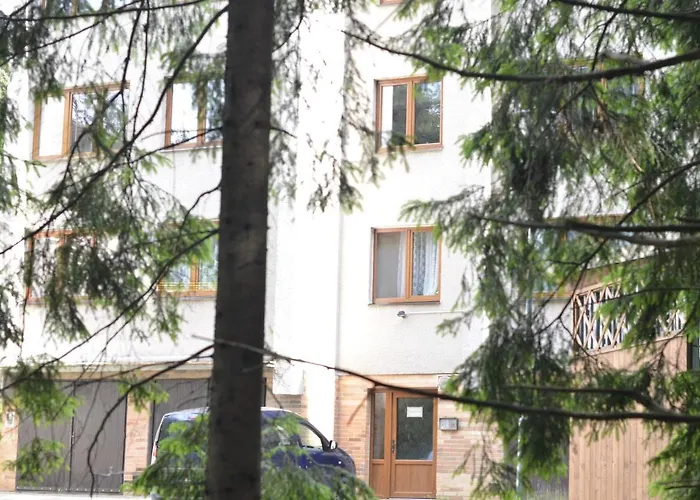 čučoriedka * Demanovská Dolina